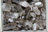 Lot: Lbs Smoky Quartz Crystals (-) - Brazil #77826-2